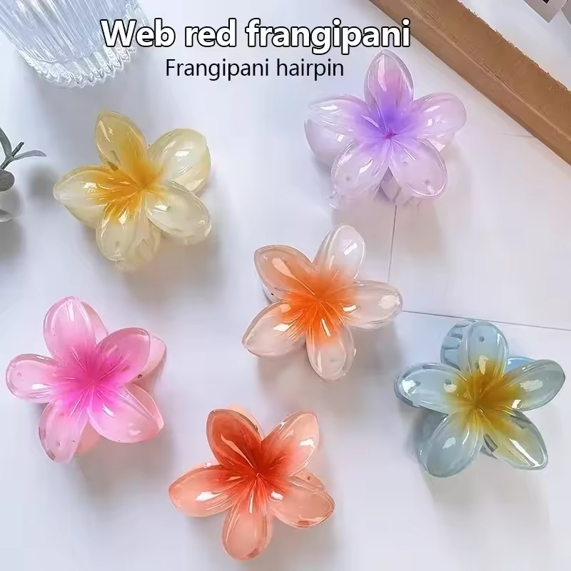    ボヘミア大花アクリルヘアクロークリップ女性ガールズバ - Women'S Accessories Accessorize のレビューと価格